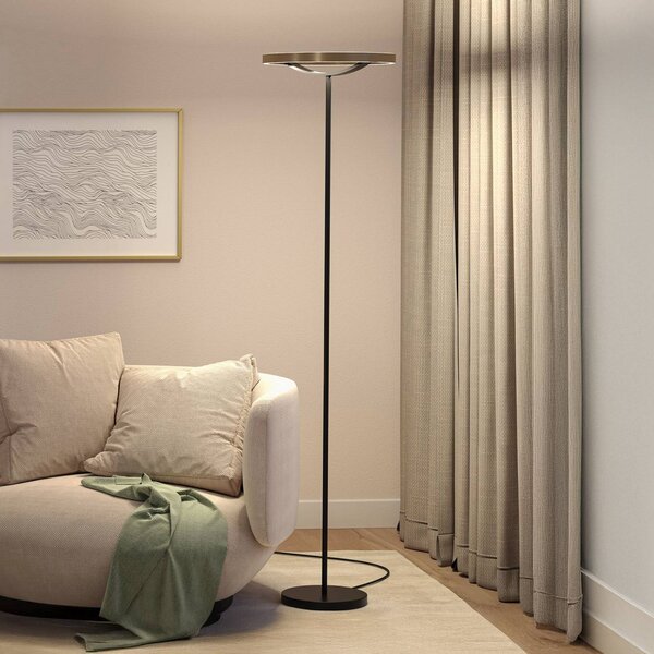 Paulmann LED stojacia lampa Melira, čierna/zlatá, výška 157 cm, Čierna, Obývacia izba / jedáleň, kov, Moderný