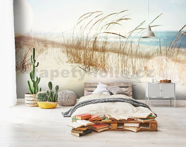 Vliesové fototapety 14596V8, rozmer 368 cm x 254 cm, stébla trávy na pláži, IMPOL TRADE