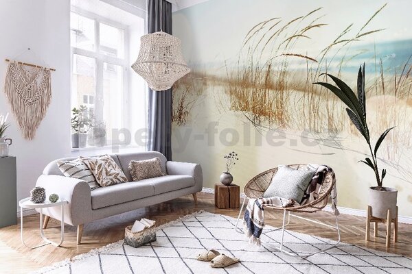 Vliesové fototapety 14596V8, rozmer 368 cm x 254 cm, stébla trávy na pláži, IMPOL TRADE