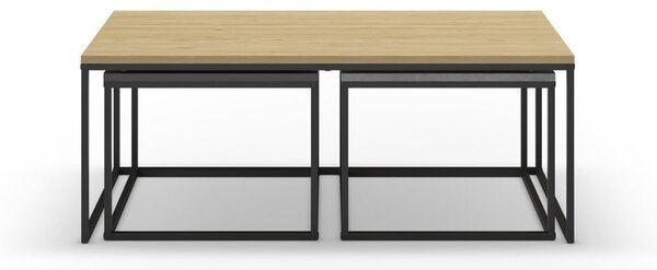 Konferenčné stolíky v súprave 3 ks v sivo-prírodnej farbe 60x110 cm Camelia – Marckeric