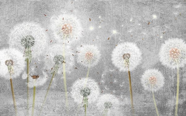 Magnetická podložka na obklad radiátora Dandelions 60x100cm