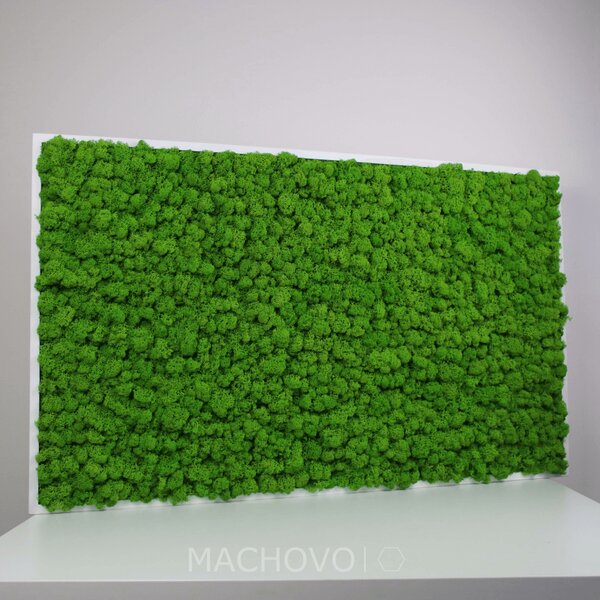 Machový obraz - obdĺžnik - lišajník