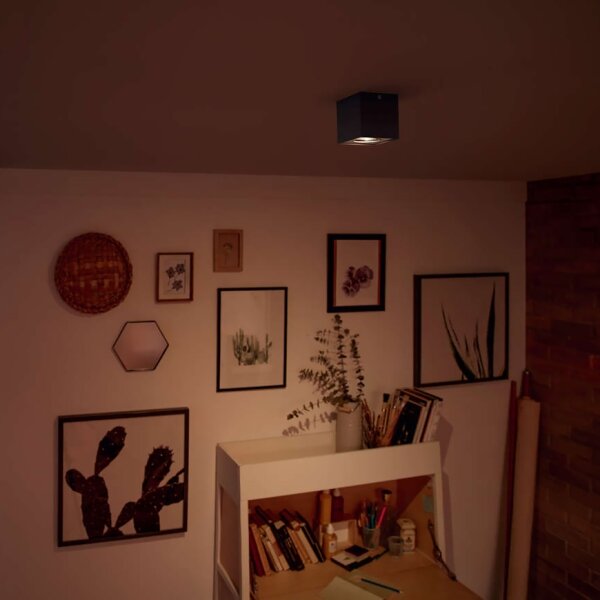 Philips 50491/30/P0 - Stmievateľné LED svietidlo MYLIVING BOX LED/4,5W/230V