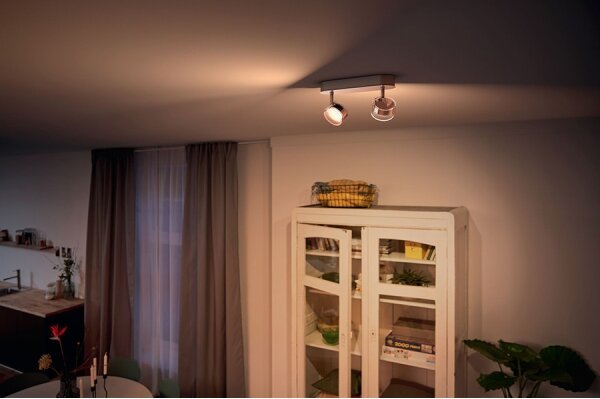 Philips 50562/11/P0-LED Stmievateľné svietidlo MYLIVING WORCHESTER 2xLED/4,5W/230V