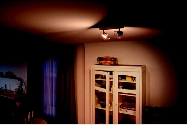 Philips 50482/17/PO - LED Bodové svietidlo GOLYGON 2xLED/4,5W/230V