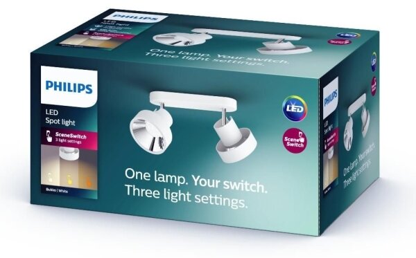 Philips 50602/31/P0 - LED Bodové svietidlo BUKKO 2xLED/4,5W/230V