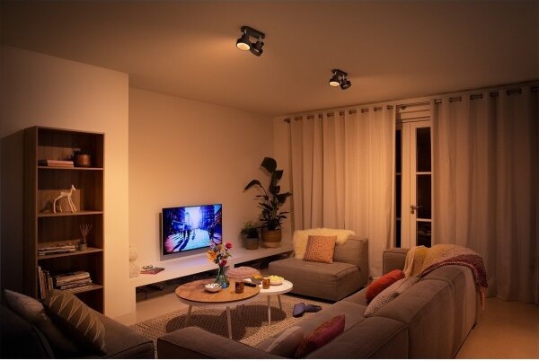 Philips 50602/30/P0 - LED Stmievateľné bodové svietidlo BUKKO 2xLED/4,5W/230V