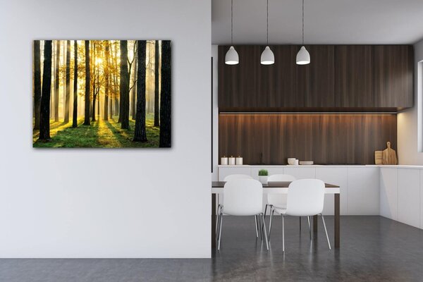 Impresi Obraz Osvietený les - 90 x 70 cm