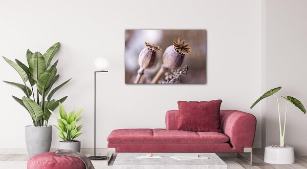 Impresi Obraz Suché kvety škandinásky štýl - 60 x 40 cm