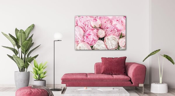 Impresi Obraz Ružové pivónie - 60 x 40 cm