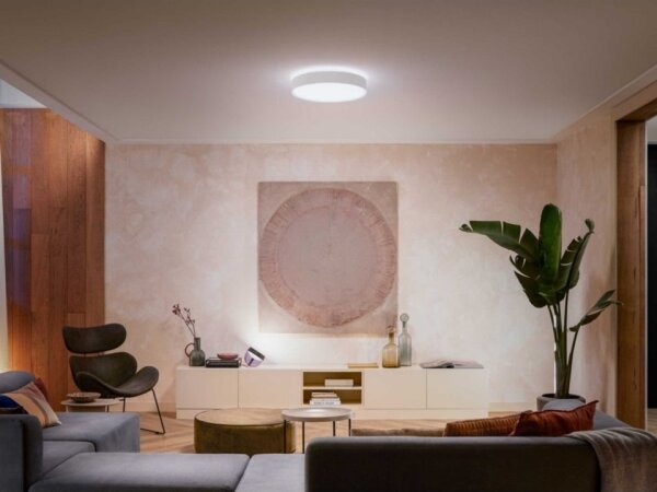 Philips - LED Stmievateľné stropné svietidlo Hue ENRAVE L LED/33,5W/230V biela + DO