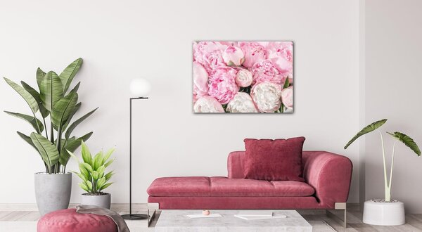 Impresi Obraz Ružové pivónie - 70 x 50 cm