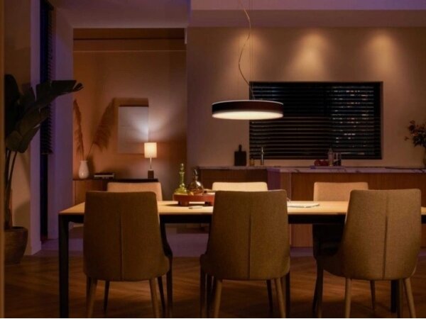 Philips - LED Stmievateľný luster na lanku Hue ENRAVE LED/33,5W/230V čierna + DO