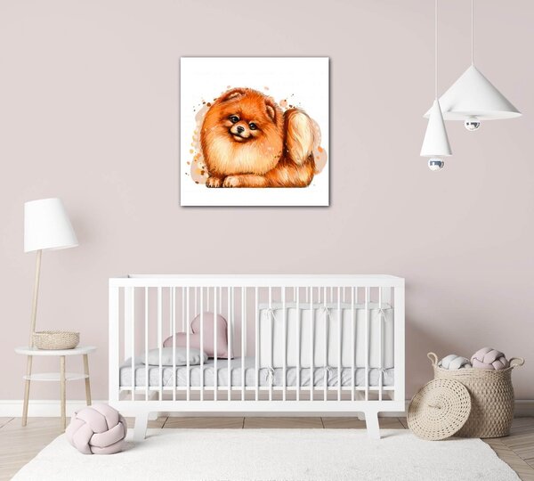 Impresi Obraz Pes Pomeranian - 20 x 20 cm