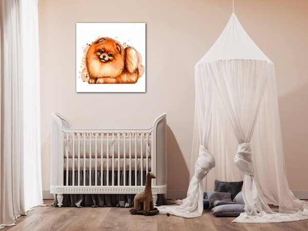 Impresi Obraz Pes Pomeranian - 20 x 20 cm