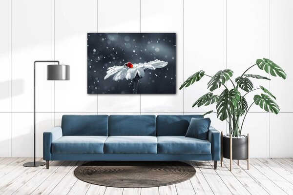 Impresi Obraz Lienka na kvetine - 60 x 40 cm