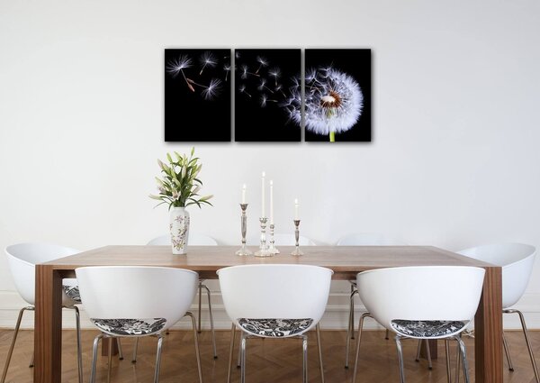 Impresi Obraz Púpava na čiernom pozadí - 150 x 70 cm (3 dielny)