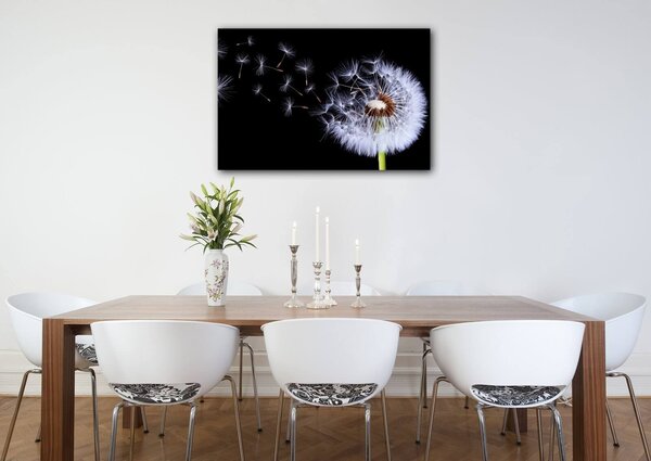 Impresi Obraz Púpava na čiernom pozadí - 60 x 40 cm