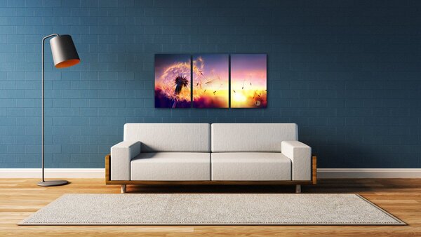 Impresi Obraz Púpava sa západom slnka - 120 x 60 cm (3 dielný)