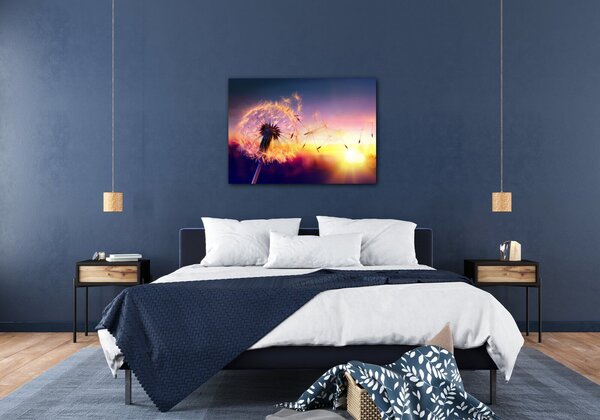 Impresi Obraz Púpava sa západom slnka - 70 x 50 cm