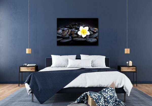 Impresi Obraz Biely kvet na čiernych kameňoch - 60 x 40 cm