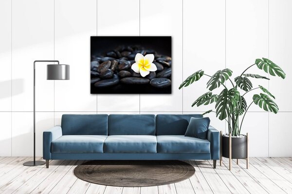 Impresi Obraz Biely kvet na čiernych kameňoch - 70 x 50 cm