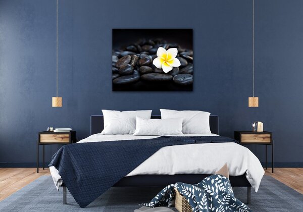 Impresi Obraz Biely kvet na čiernych kameňoch - 90 x 70 cm