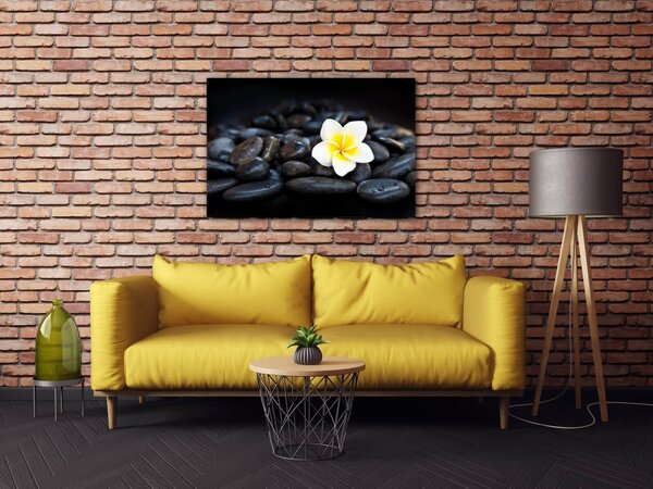 Impresi Obraz Biely kvet na čiernych kameňoch - 60 x 40 cm