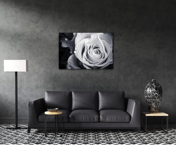 Impresi Obraz Čiernobiela ruže s kvapkami vody - 60 x 40 cm
