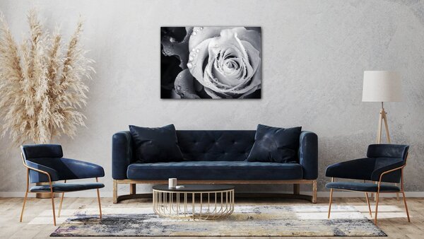 Impresi Obraz Čiernobiela ruže s kvapkami vody - 70 x 50 cm