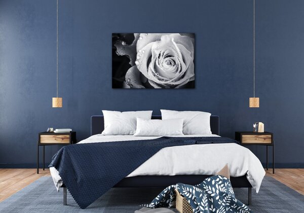 Impresi Obraz Čiernobiela ruže s kvapkami vody - 60 x 40 cm