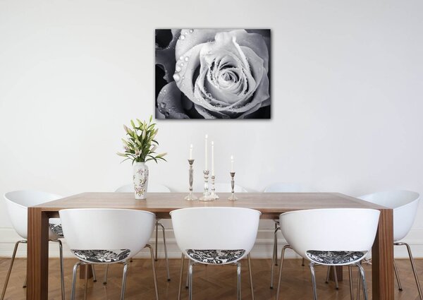 Impresi Obraz Čiernobiela ruže s kvapkami vody - 90 x 70 cm