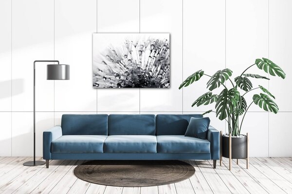 Impresi Obraz Púpava s kvapkami vody - 70 x 50 cm