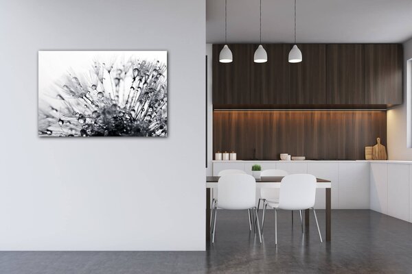 Impresi Obraz Púpava s kvapkami vody - 60 x 40 cm