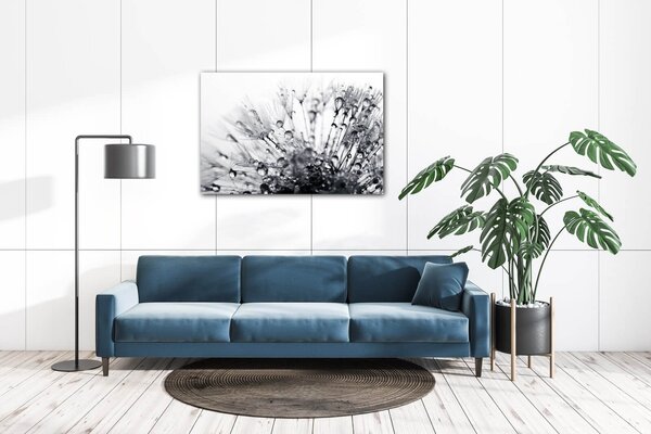 Impresi Obraz Púpava s kvapkami vody - 60 x 40 cm
