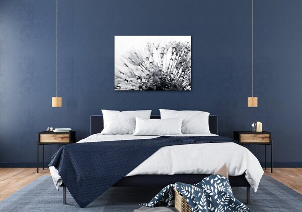 Impresi Obraz Púpava s kvapkami vody - 70 x 50 cm
