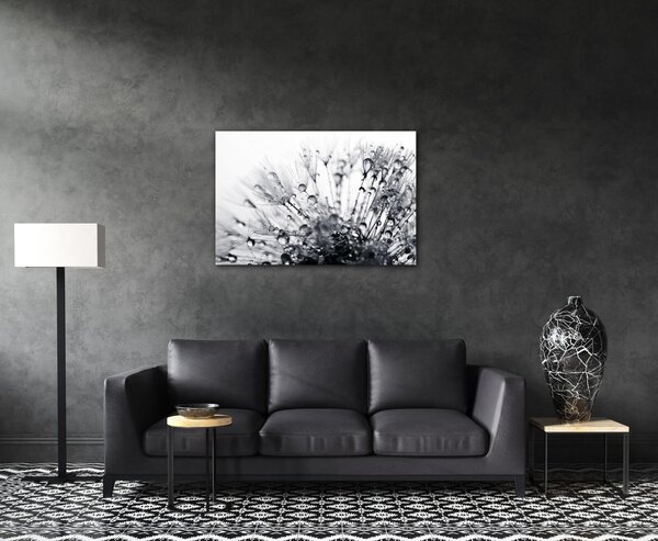 Impresi Obraz Púpava s kvapkami vody - 60 x 40 cm