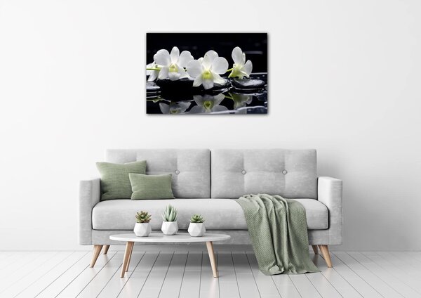 Impresi Obraz Biele orchidee na čiernom pozadí - 60 x 40 cm