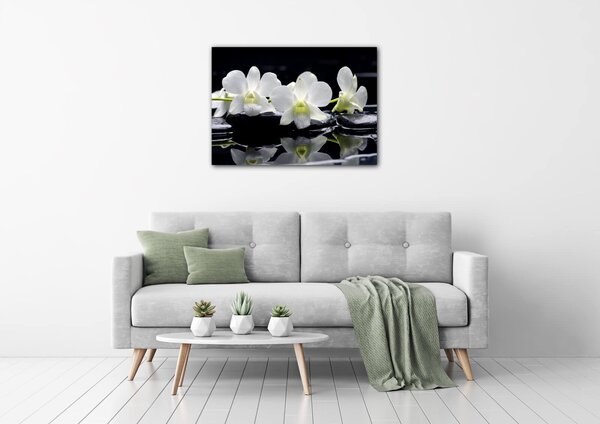 Impresi Obraz Biele orchidee na čiernom pozadí - 70 x 50 cm