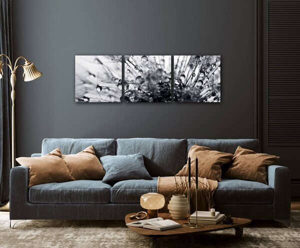 Impresi Obraz Púpava s kvapkami vody - 90 x 30 cm (3 dielny)