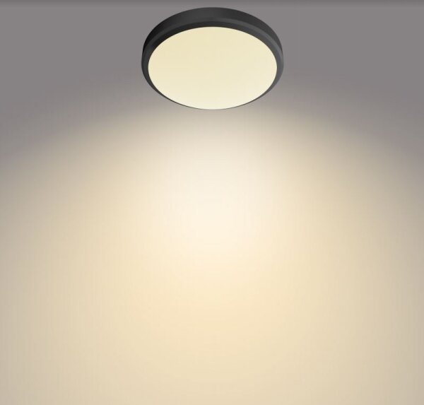 Philips - LED Kúpeľňové stropné svietidlo DORIS LED/6W/230V IP44