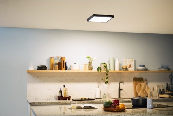Philips - LED Stropné svietidlo MAGNEOS LED/20W/230V 2700K čierna