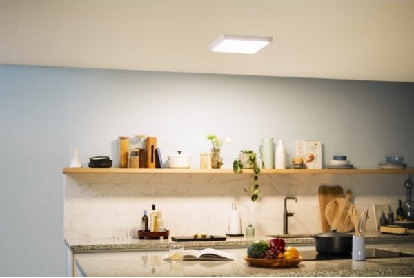 Philips - LED Stropné svietidlo MAGNEOS LED/20W/230V 2700K biela