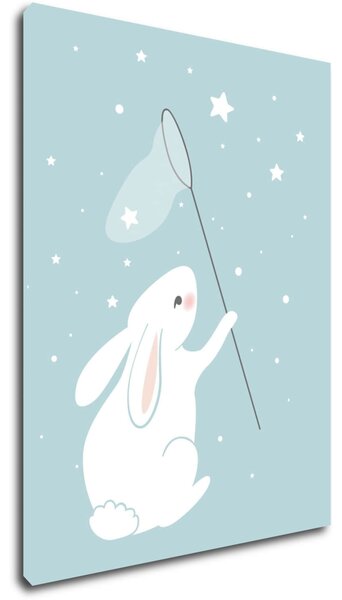Impresi Obraz Little bunny - 30 x 40 cm
