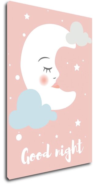 Impresi Obraz Good night pink moon - 20 x 30 cm