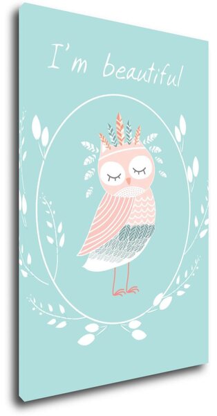 Impresi Obraz I'm beautiful owl - 20 x 30 cm