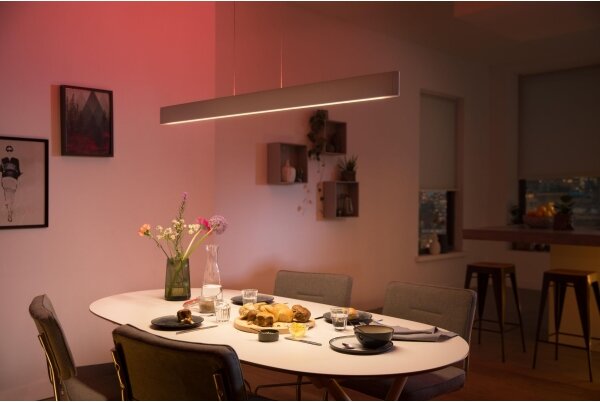 Philips 40903/31/P9-LED RGBW Stmievateľný luster na lanku Hue ENSIS 2xLED/39W/230V