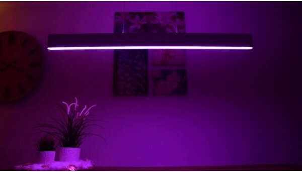 Philips 40903/30/P9-LED RGBW Stmievateľný luster na lanku Hue ENSIS 2xLED/39W/230V