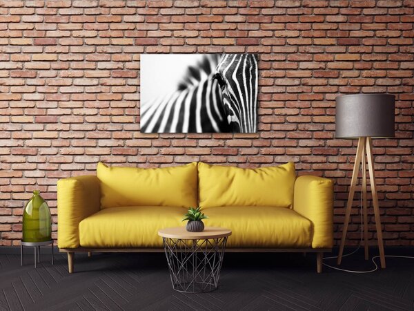 Impresi Obraz Zebra detail - 60 x 40 cm