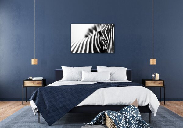 Impresi Obraz Zebra detail - 60 x 40 cm